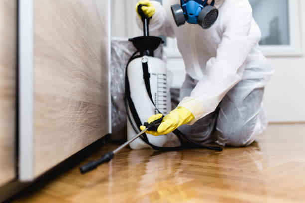 Best Bed Bug Extermination  in Chico, CA
