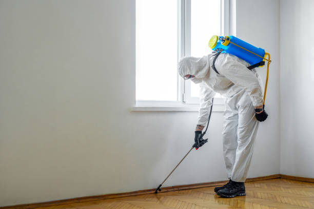 Best Flea Control Services  in Chico, CA
