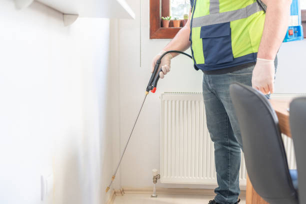 Best Residential Pest Control  in Chico, CA