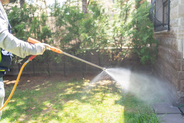 Best Wildlife Control Services  in Chico, CA