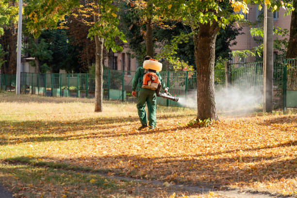 Best Rodent Control Near Me  in Chico, CA