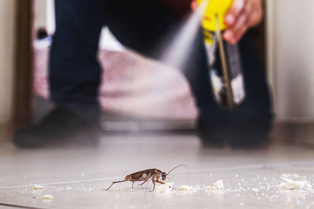 Professional Pest Control in Chico, CA