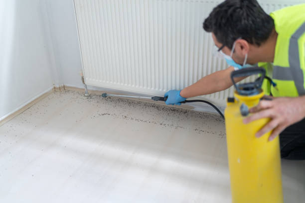 Best Pest Removal Services  in Chico, CA